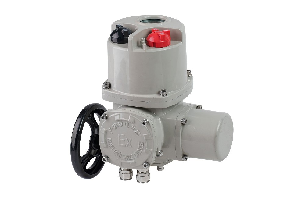 智能角行程电动执行机构