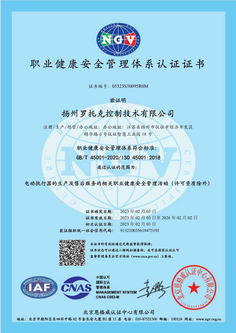 05323S30095R0M- D1.1 管理体系证书 中文 A4  双标 5.23_1.jpg